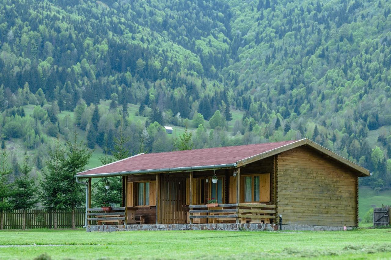 Biotour Camping & Restaurant Ghimes-Faget Экстерьер фото
